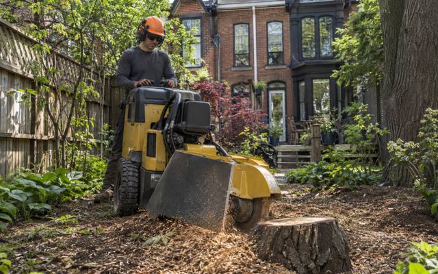 Stump grinder cutting an old stump down below the lawn