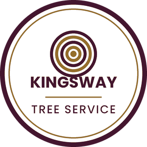 Kingsway Tree Service